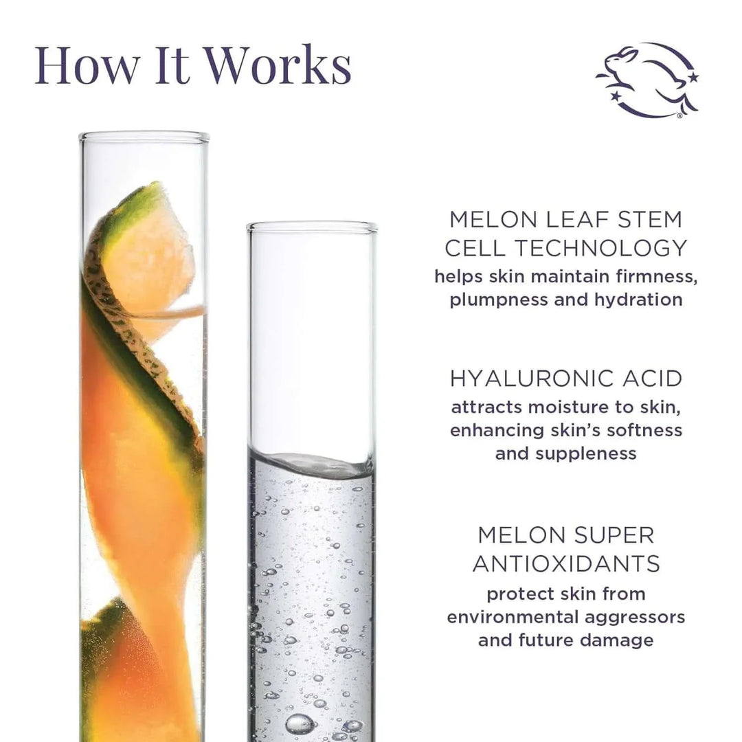 Two test tubes with melon slice and clear liquid illustrating melon leaf stem cell technology, hyaluronic acid, antioxidants benefits