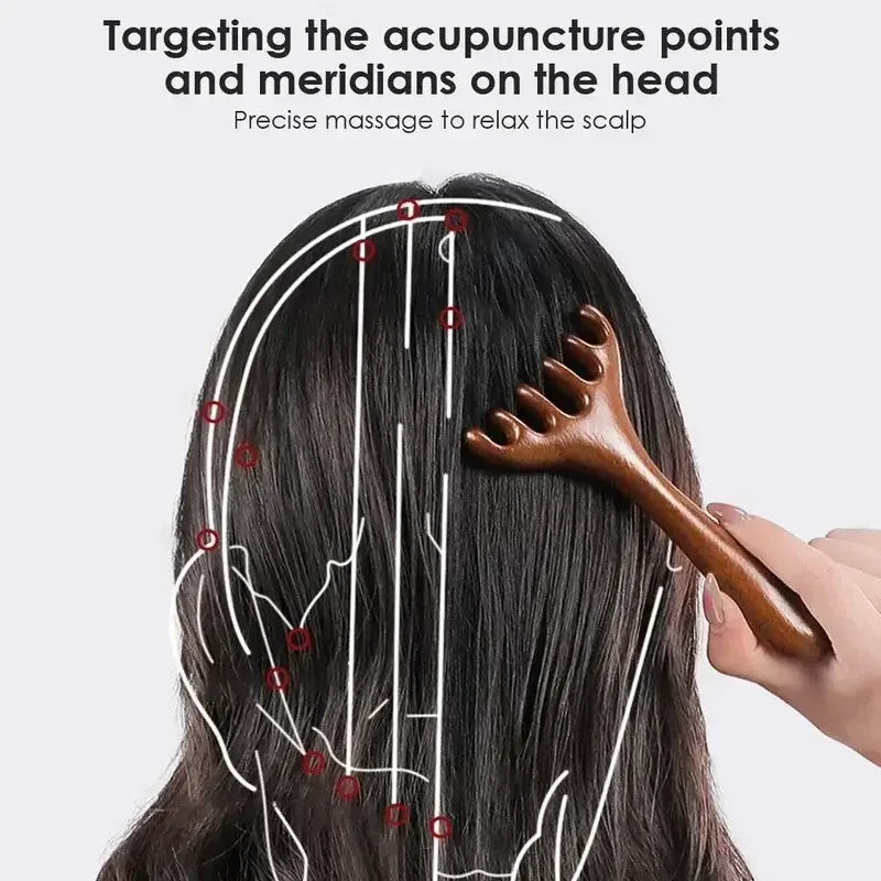 Person using wooden scalp massager on black hair with acupuncture points and meridians diagram on head