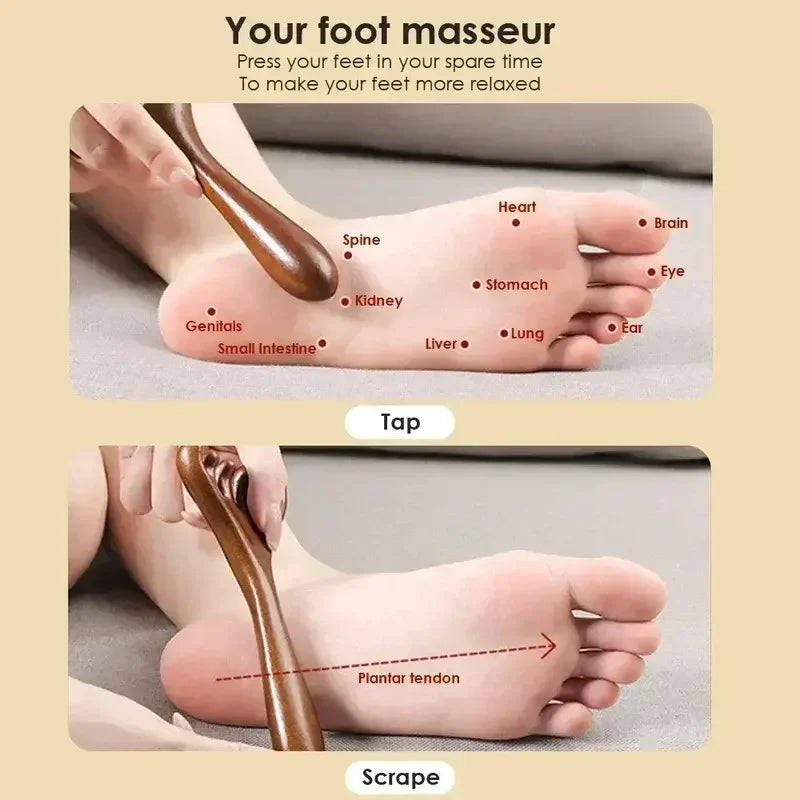 Foot massage with wooden tool showing reflexology points like brain, heart, liver, kidney, and spine